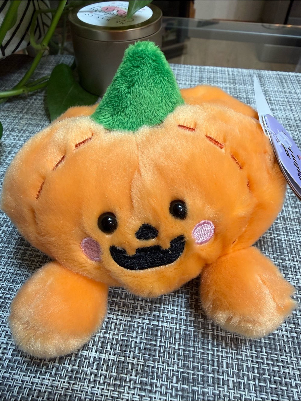 Palm Pals Wisp Jake-o-Lantern🎃Pumpkin plush Toy Orange with Green Stem Halloween